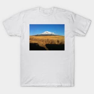 Fuji-san T-Shirt